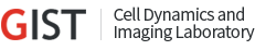 Cell Dynamics and Imaging Laboratory